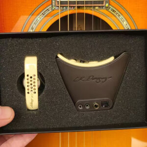 Pickup/EQ
